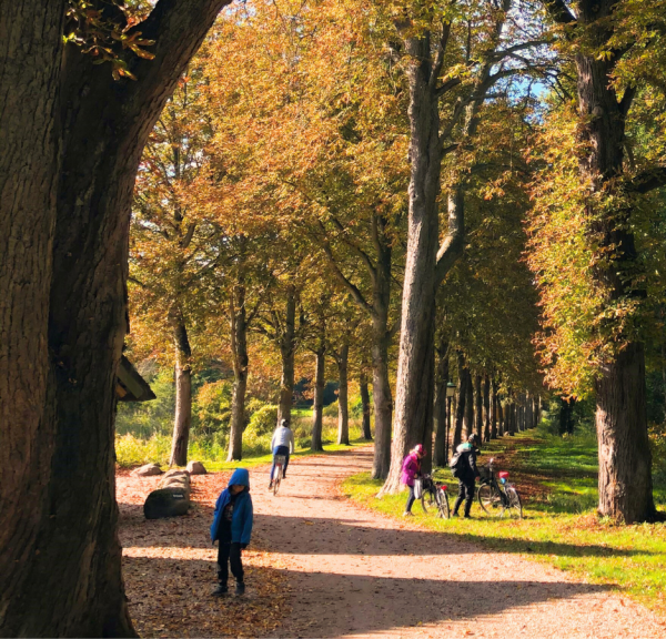 Efterår i Køge